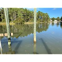 King tide image